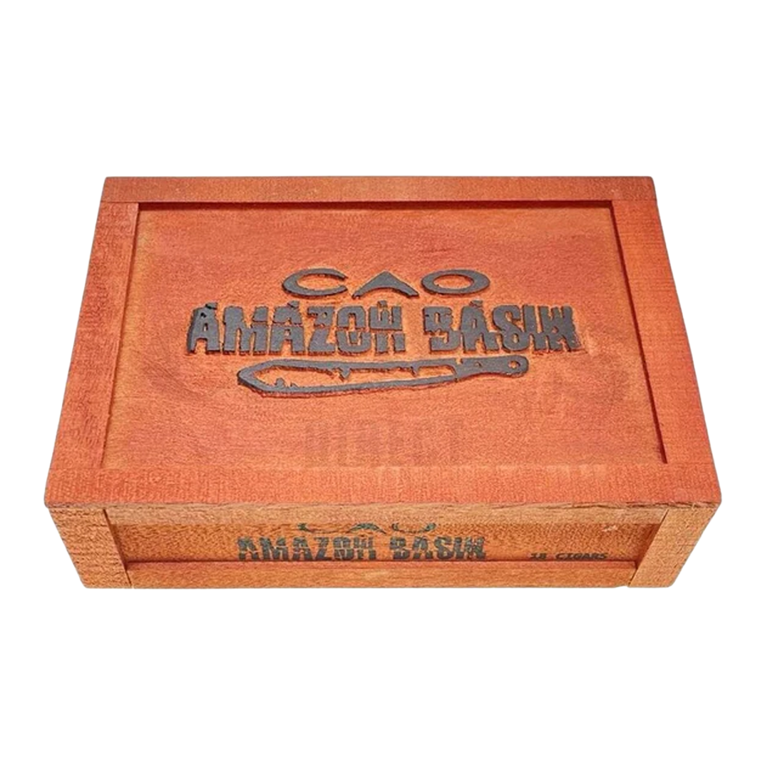 CAO Amazon Basin 2026