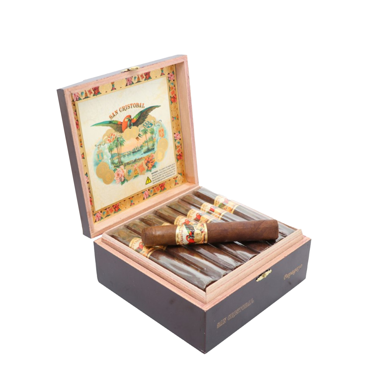 San Cristobal Papagayo