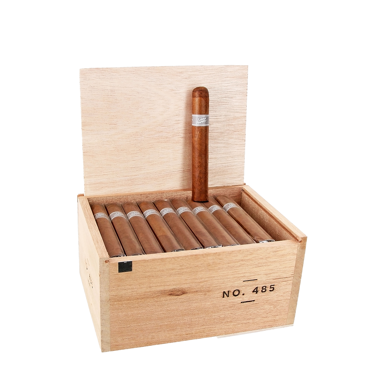 Warped Cloud Hopper No. 485