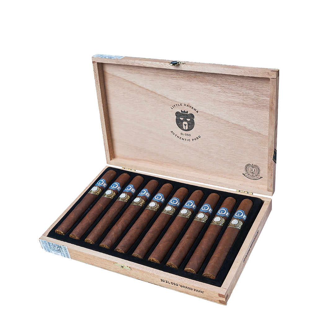 Warped El Oso 10th Anniversary
