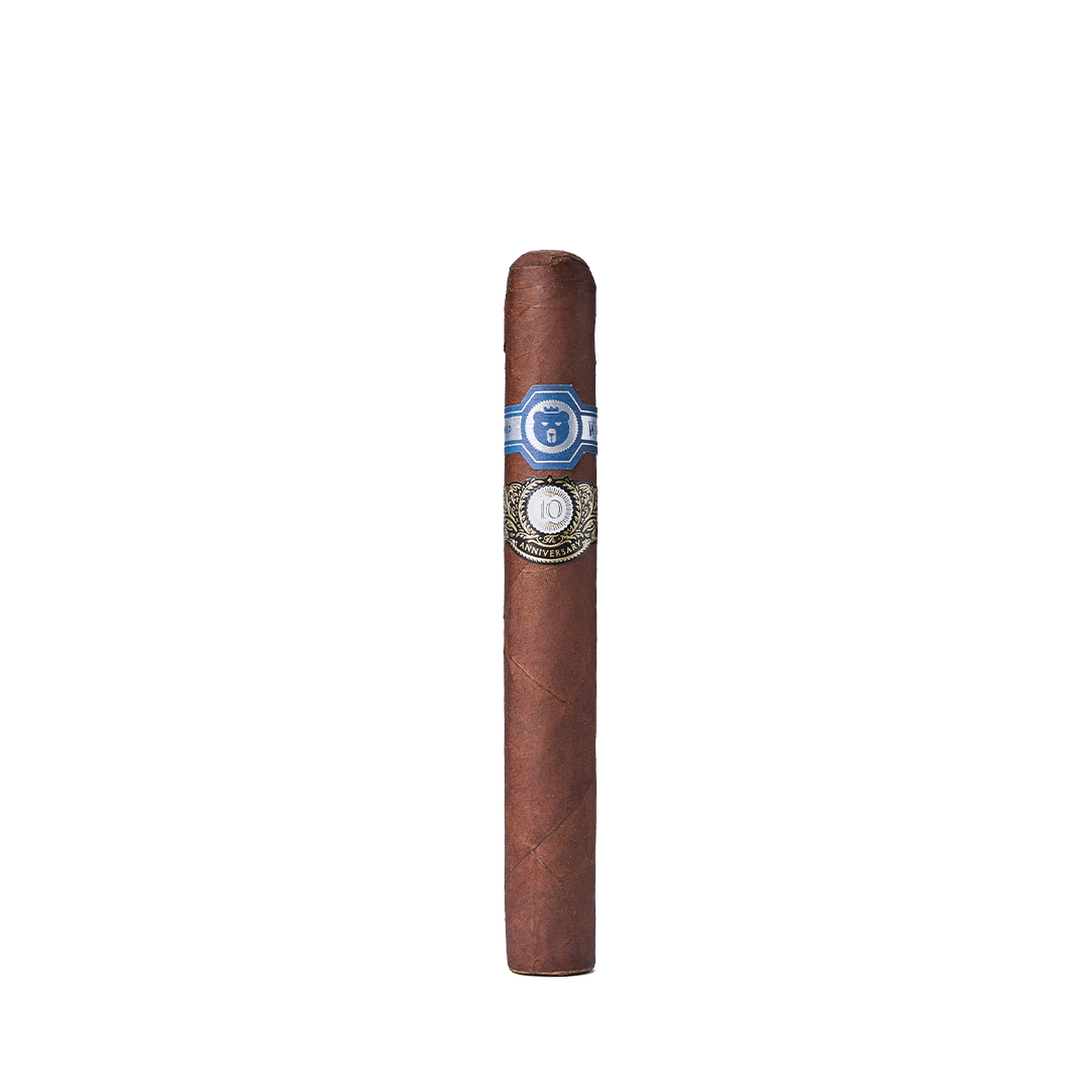 Warped El Oso 10th Anniversary