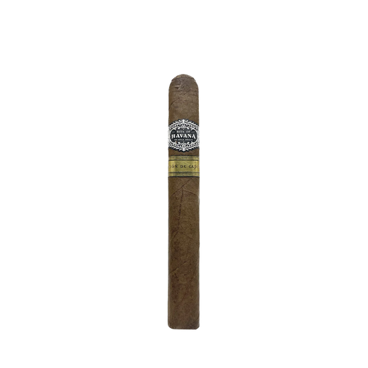 Warped Bits of Havana Seleccion de Capital