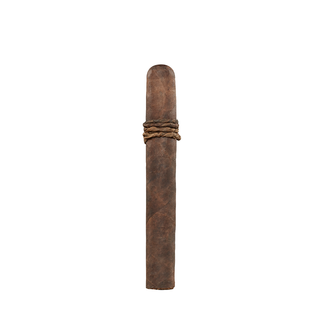 CAO Amazon Basin 2026