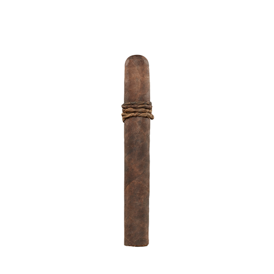 CAO Amazon Basin 2026