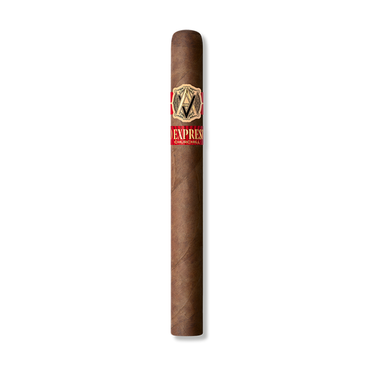 Avo Expresivo Churchill