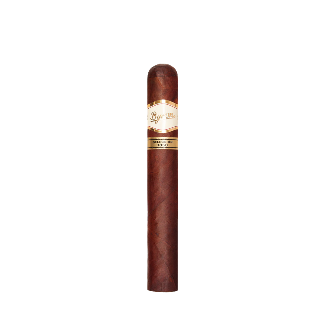 Cigar with a gold band on a white background
