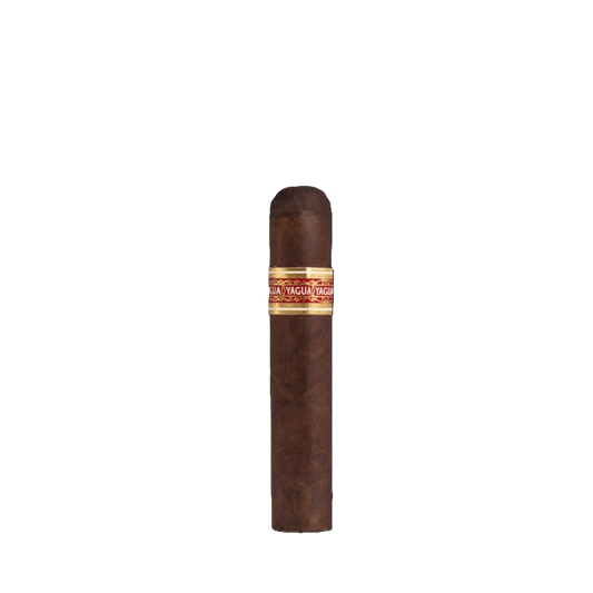 J.C. Newman Yagua Robusto