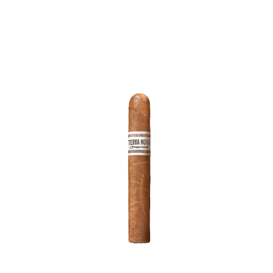 United Terra Nova Araperique Robusto