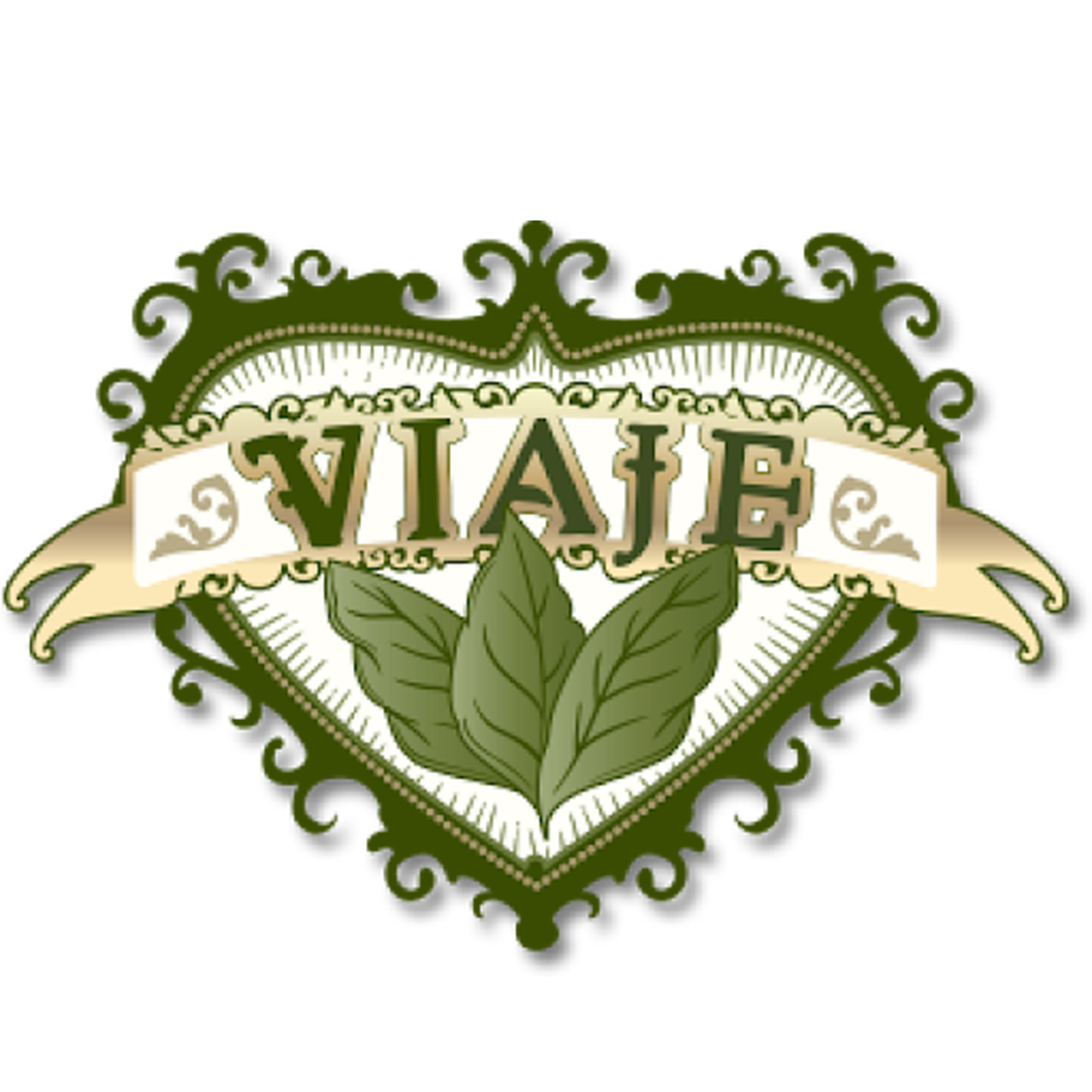 Viaje logo