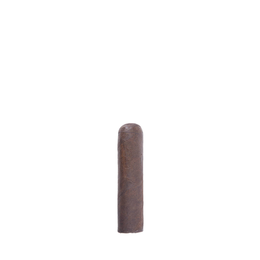 Viaje Super Shot 10 Gauge