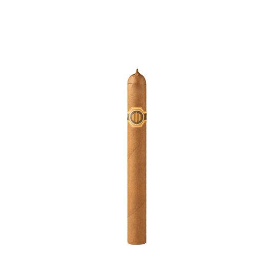 Warped La Colmena No. 44
