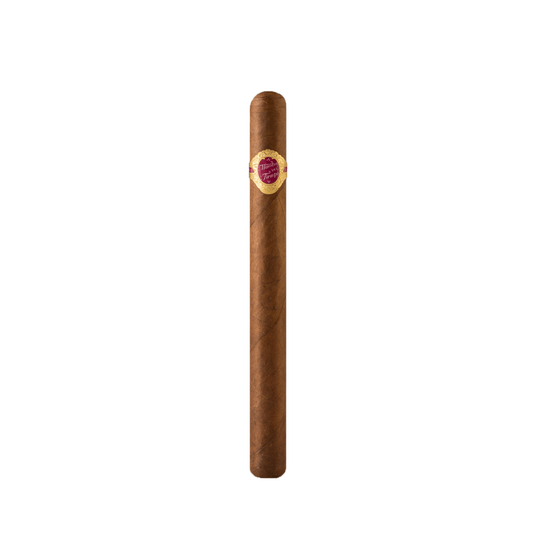 Warped Maestro Del Tiempo 5205