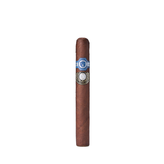 Warped El Oso 10th Anniversary